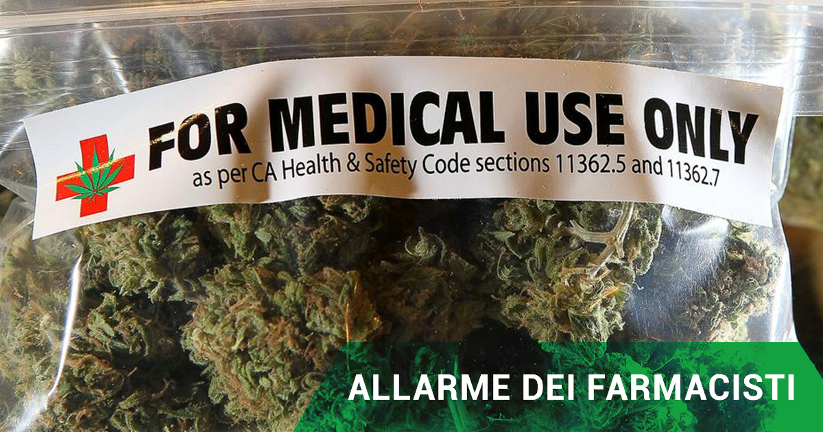 Meridio News: Prezzo Cannabis terapeutica, allarme dei farmacisti